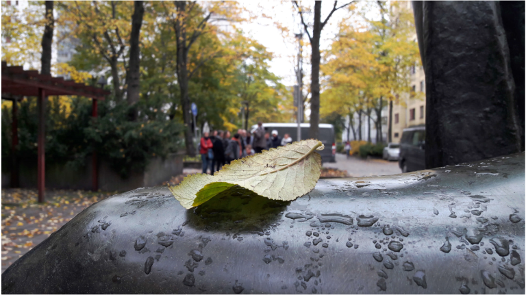 Upcoming events – Webinar on Mental Health