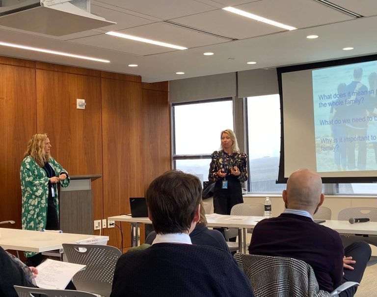 IFS addresses Domestic Violence at UN CSW67 Parallel Event in New York