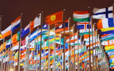 IFS at the United Nations and What’s Ahead